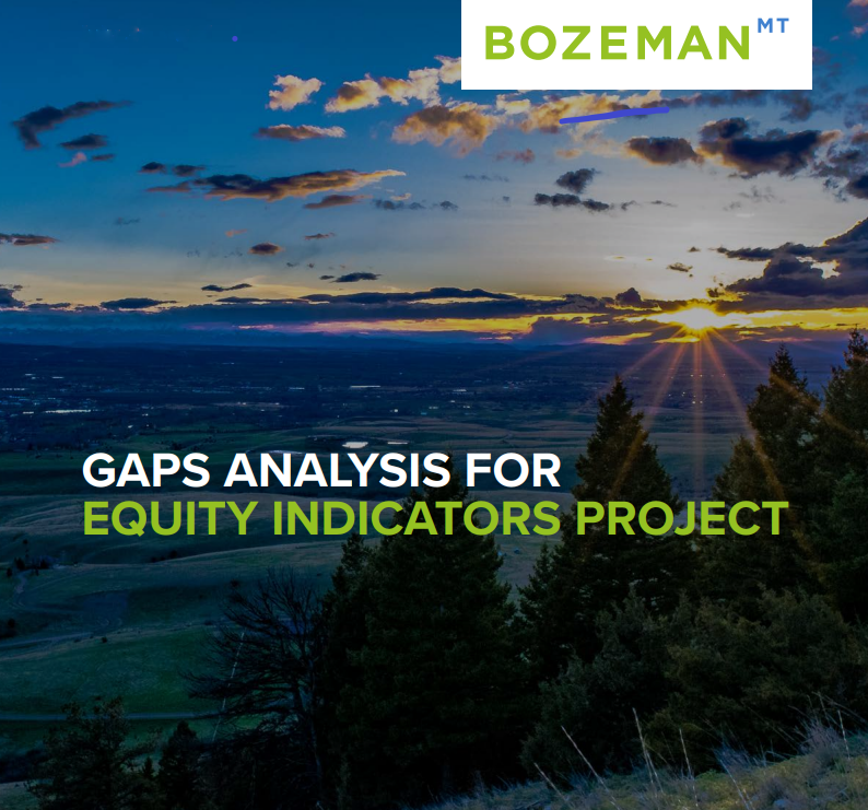 A sunsetting behind a forest.  Logo for Boseman Gaps analysis for equity indications project